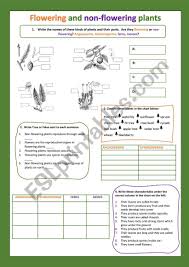 Woody plants main causes why don't plants flower? Flowering And Non Flowering Plants Ii Esl Worksheet By Cristinasuma