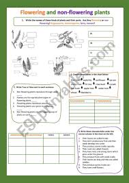 Start studying non flowering plants. Flowering And Non Flowering Plants Ii Esl Worksheet By Cristinasuma