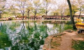 Tempat wisata yang satu ini memiliki luas sekitar 5 hektar dan baru diresmikan pada tahun 2002 lalu. 10 Foto Umbul Tlatar Boyolali 2021 Harga Tiket Masuk Objek Wisata Pemancingan Jam Buka Penginapan Jejakpiknik Com