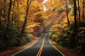 Maybe you would like to learn more about one of these? 101 Things To Do In New England The Ultimate New England Bucket List New England With Love