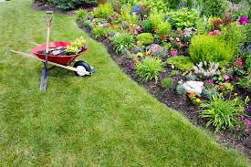 Don't neglect the porch, pathway, driveway and backyard. Spring Yard Clean Up Salisbury Greenhouse