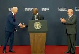 Image result for Bidens flagellata