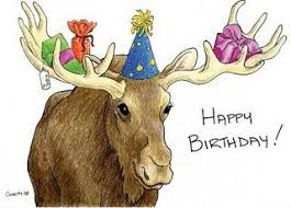 Funny Happy Birthday Message For Kids Happy Birthday Moose Funny Happy Birthday Pictures Happy Birthday Pictures Happy Birthday Animals