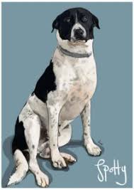 Maybe you would like to learn more about one of these? Pet Portraits Dog Portraits Cat Portraits Pet Art Dog Art Pet Portrait