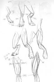 Legs Creature Animal Hybrid Anatomy Feet Drawing Animal Drawings Monster Drawing