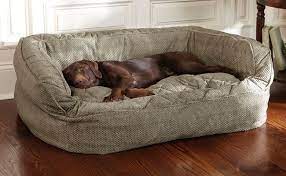 Most popular lowest price highest price biggest saving newly added. Lapping Up Luxury Why Pets Love Bolster Dog Beds