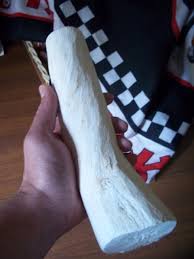 Image result for Synaptolepis