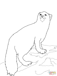 Search through 623,989 free printable colorings at getcolorings. Arctic Animals Coloring Pages Handipoints Coloring Library