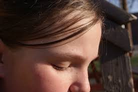 Lens Blog: My Hometown