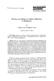 Image result for Galium chloroionanthum