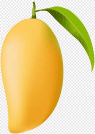 These compounds have been known to have antioxidant properties and are essential for vision. Mango Png Images Pngegg