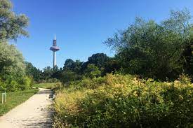 Weitere informationen zu dem ausflugsziel botanischer garten frankfurt am main siehe hier. Der Botanische Garten Frankfurt Die Kleine Schwester Des Palmengartens Frankfurt Tipp
