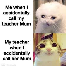 Check out these funny hamster videos. Me When Accidentally Call My Teacher Mum My Teacher When Accidentally Call Her Mum Memes Video Gifs Watdo Memes Watdocrew Memes Accidentally Memes Call Memes Teacher Memes Mum Memes