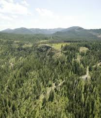 We did not find results for: Want To Sell Your Rural Property Here S Some Helpful Tips Potlatchdeltic Land And Hunt