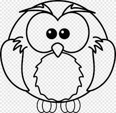 Free printable canadian provinces worksheets. Baby Owls Coloring Book Coloring Pages For Kids Adult Snowy Animals S White Child Png Pngegg