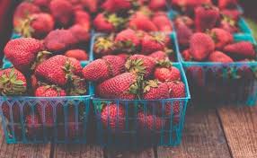 Maybe you would like to learn more about one of these? When To Plant Strawberries In Alabama 2021 Studies