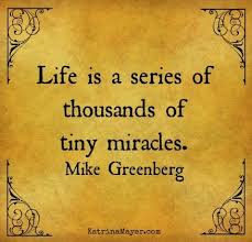 Life Is A Series Of Thousands Of Tiny Miracles Life Is A Series Of Thousands Of Tiny Miracles Mike Greenberg Words Of Enlightenment