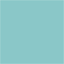 Kilz Complete Coat Paint Primer