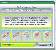 This is the currently selected item. Students Sequence The Phases Of Mitosis In A Drag And Drop Interaction Download Scientific Diagram