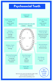 Spiritual Meanings Of Teeth Holistic Tooth Fairy Meliors Simms In 2020 Holistic Dentist Spiritual Meaning Holistic Oral Health