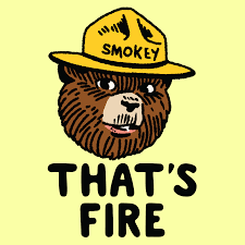 That S Fire Smokey The Bear T Shirts Lookhuman Smokey The Bears Smokey Bear Art