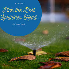 Walk around on your lawn after watering, and make adjustments to the sprinklers if you see that any portions have been missed. Best Sprinkler Heads For Watering Your Landscape Dengarden