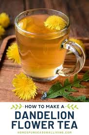 Dandelion Tea Recipe Homespun Seasonal Living