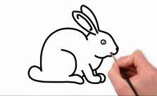 Nggak kalah lucu dari gambar kelinci animasi alias kartun yang ada di internet, kan? Kumpulan Sketsa Gambar Kelinci Dan Cara Menggambarnya