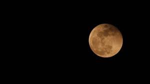 Melansir dari earthsky, gerhana bulan sendiri akan terjadi selama dua kali sepanjang tahun 2021. Besok Gerhana Bulan Sebagian Terakhir Sampai Tahun 2021 Bertepatan Dengan Peringatan Misi Nasa Tribun Jakarta