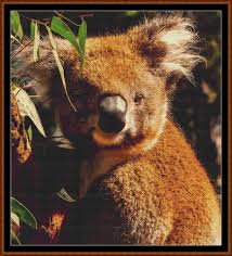 Baby cross stitch pattern, cross stitch pattern cute, art cross stitch, fun cross stitch patterns. Koala Bear Wild Cute 7 12 Witchykitt Designs Unique High Quality Digital Stitching Patterns