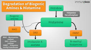 Image result for Histamine
