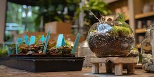 Rainforest Terrariums: Build Your Own