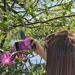 Phone Photography Walk
