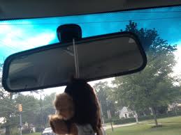 Rearview Mirror Living