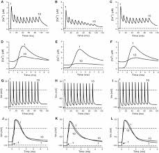 Astrocytes Modulate Neuronal Excitability Through Potassium Spatial... |  Download Scientific Diagram