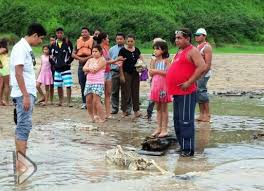 We did not find results for: Fishermen Catch Strange Fish 17 October 2011