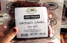 How to cook camel meat | livestrong.com. I Went To The Craziest Grocery Store In America And This Is What I Found The Daily Meal