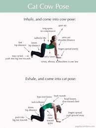 Like the lotus pose, vakrasana is also a sitting asana. Top 10 Yogasans To Reduce Belly Fat Quickly Easy And Effective Beauty Fashion Lifestyle Blog Beauty Fashion Lifestyle Blog