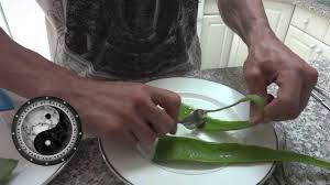 Maybe you would like to learn more about one of these? 12 Ways To Eat Aloe Vera Wikihow