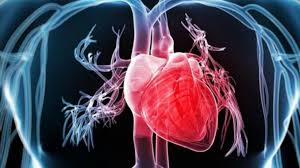 Bradicardie Afecțiune Cardiacă Spitalul Monza Ares Cardiologie In Cluj