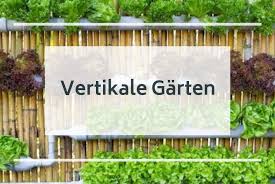 Denn sie vertragen unseren winter nicht. Mit Vertikalen Garten Langweilige Flachen Verschonern