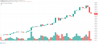 Since then, prices have shot up to around $64,000 before tumbling back down to. Bitcoin Price Dives Back Under 16 900 As Whale Deposits Spike Again