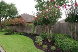 See more ideas about crape myrtle, myrtle, myrtle tree. Pin On Landscape