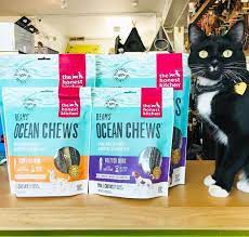 Beams Ocean Chews So Good Even Your Cat Will Want In On The Action Caturday Brunosvenic Dog Obsessed Healthy Cat Food Healthy Dog Food Recipes