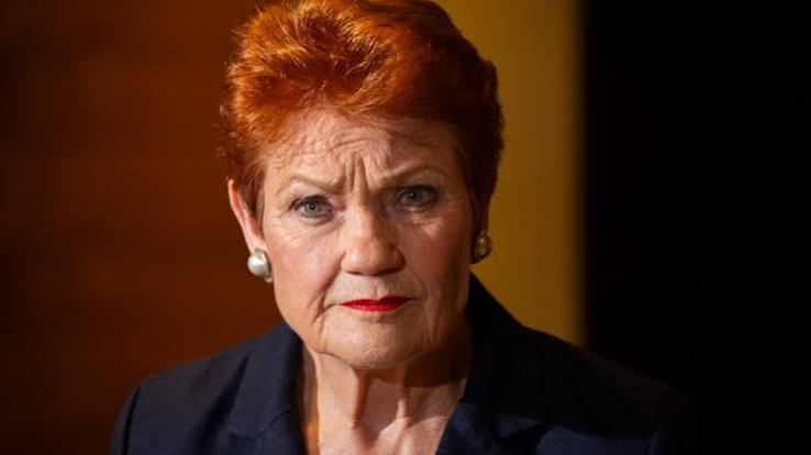 One Nation immigration policy: Experts say Pauline Hanson's 130,000 visa cap would trigger economic instability and negative migration