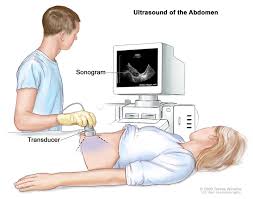 Pin On Gastrointestinal Nursing