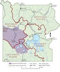 Three grand teton trails, a campground and a lodging complex near the fire have also been closed, a move. Catch A Fish Yellowstone National Park U S National Park Service