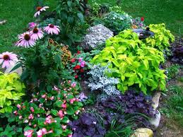Small Perennial Garden Layout Flower Garden Plans Small Flower Gardens Garden Flowers Perennials