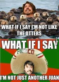 What If I Say I M Not Like The Otters Foo Fighters Horrible Puns Foo Fighters Dave Grohl