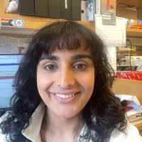 300+ "Zoë" profiles